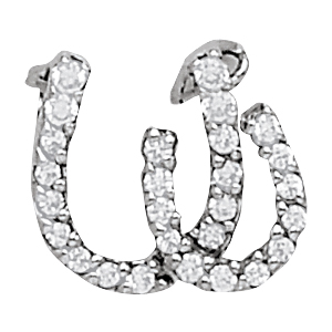 Horse Shoe Pendant