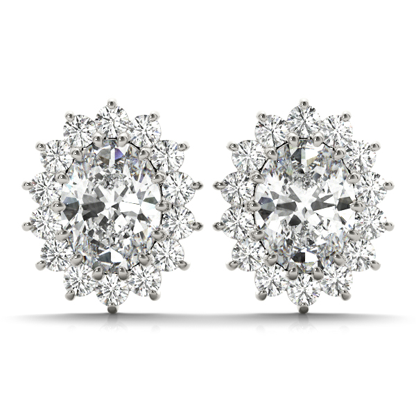 Oval Halo Studs