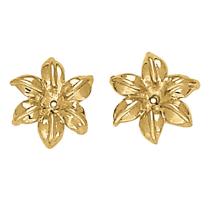 EARRING JACKETS