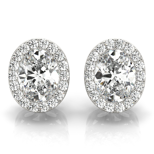 Oval Halo Studs
