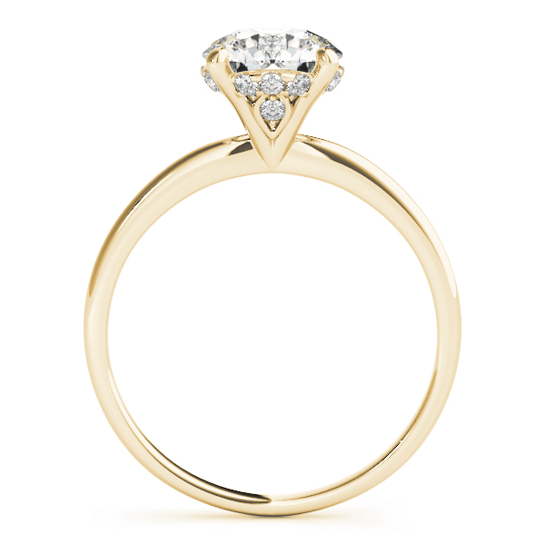 The Sylvia Hidden Halo Engagement Ring, side view