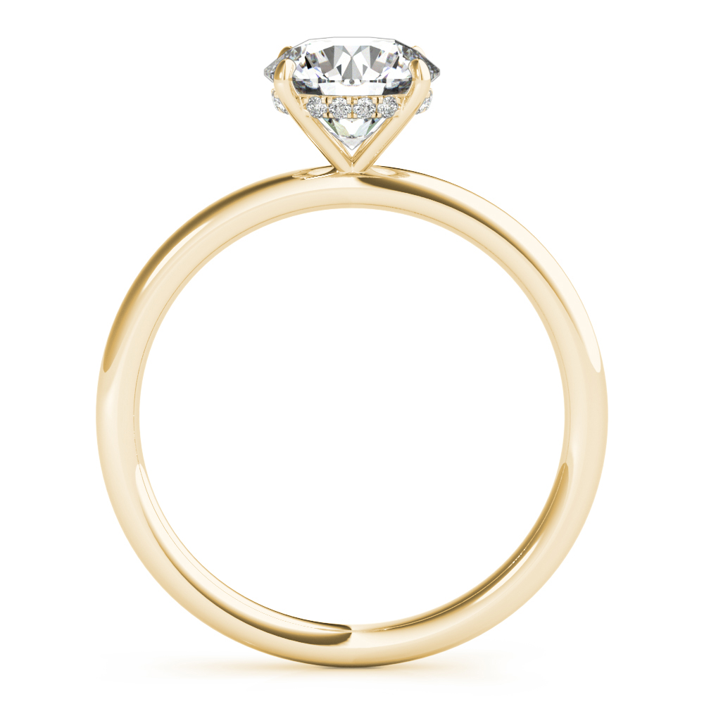 The Tessa Hidden Halo Engagement Ring, side view