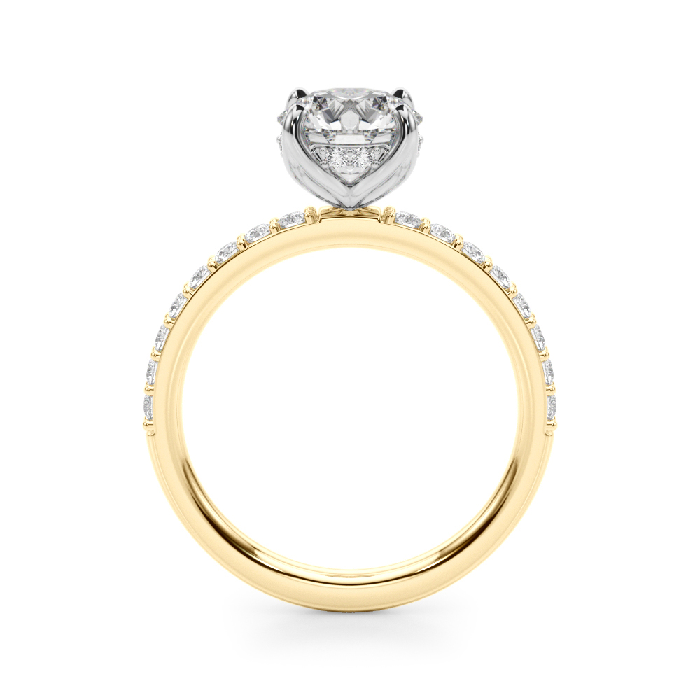 The Gwendolyn Hidden Halo Engagement Ring, side view