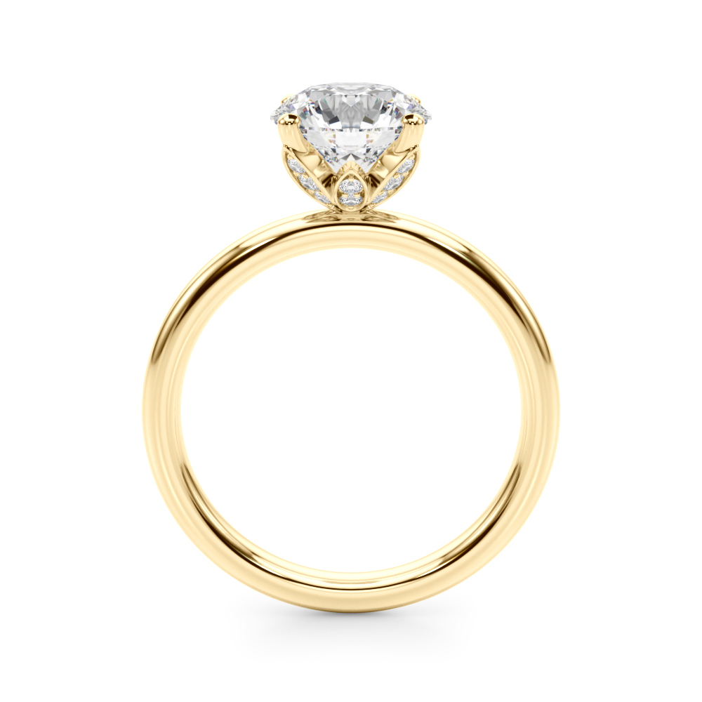 The Brooke Hidden Halo Engagement Ring, side view