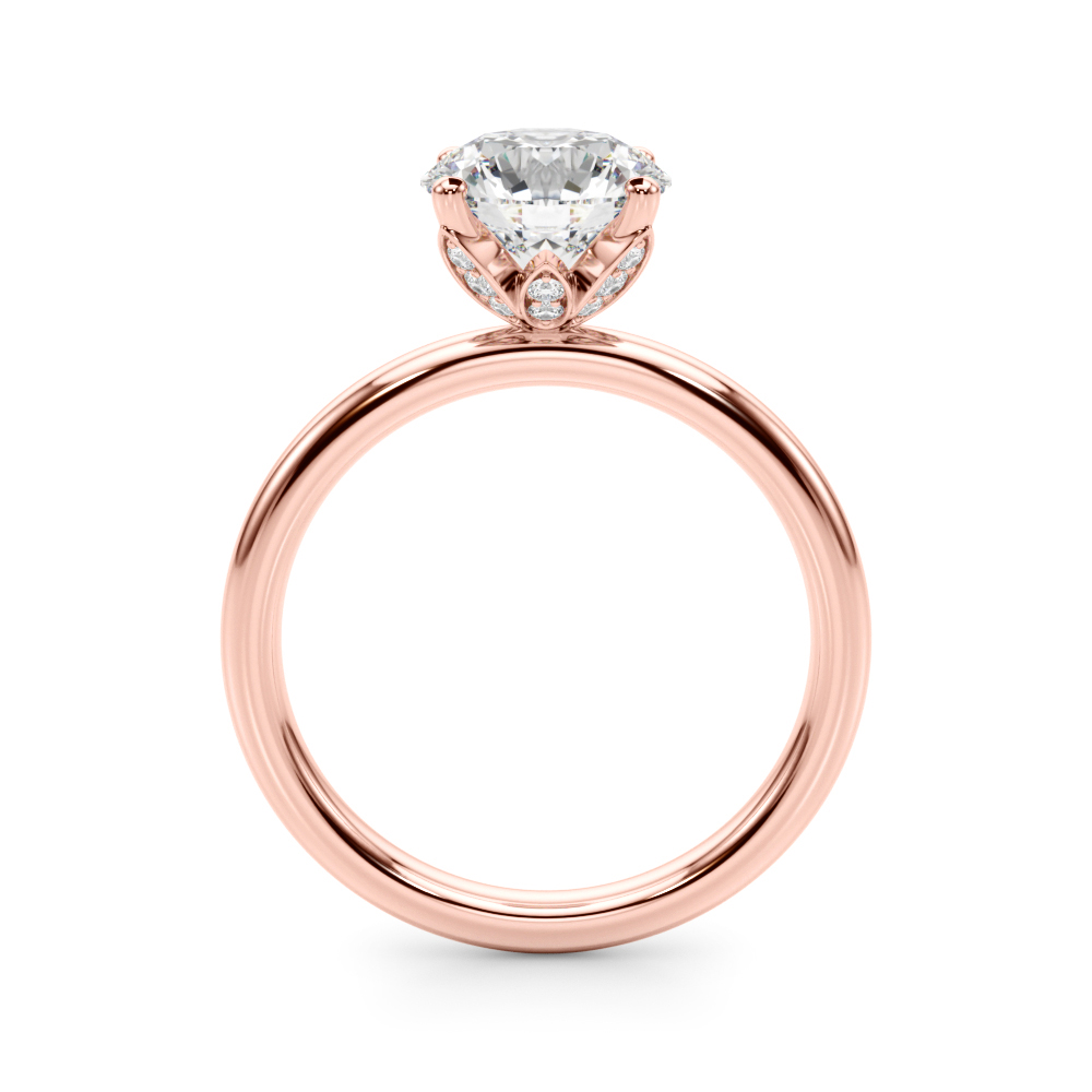 The Brooke Hidden Halo Engagement Ring, side view