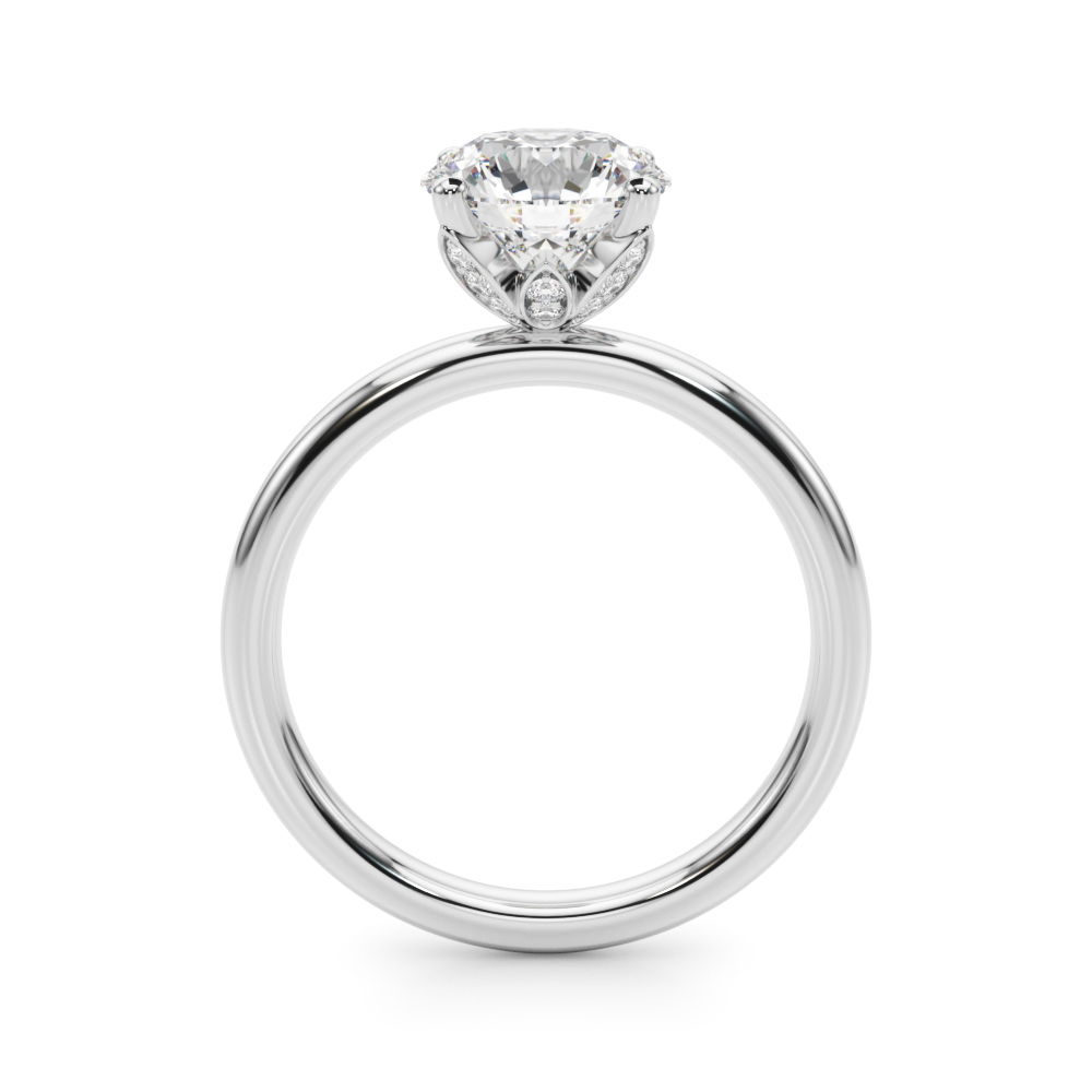 The Brooke Hidden Halo Engagement Ring, side view