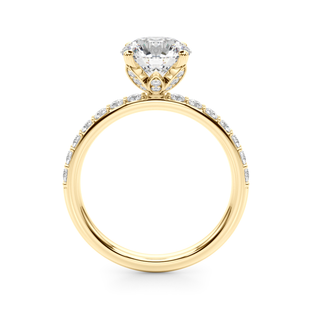 The Clara Hidden Halo Engagement Ring, side view
