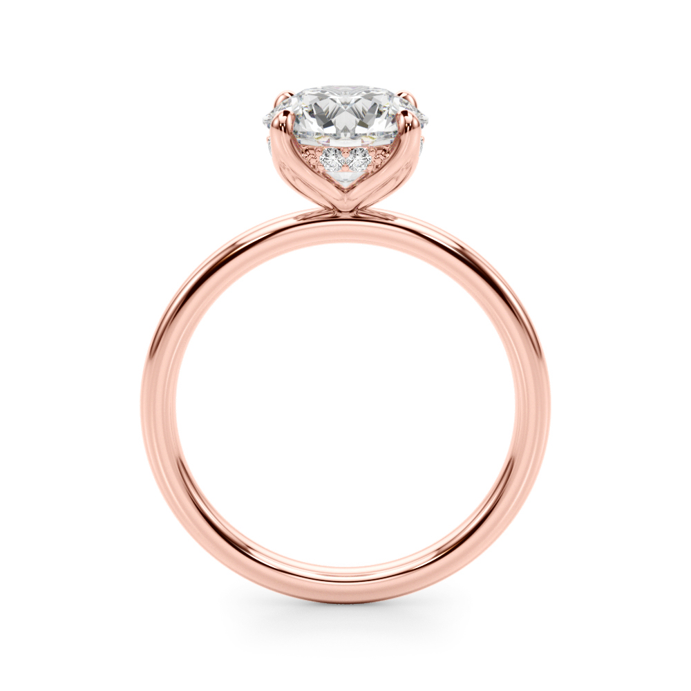 The Quinn Hidden Halo Engagement Ring, side view