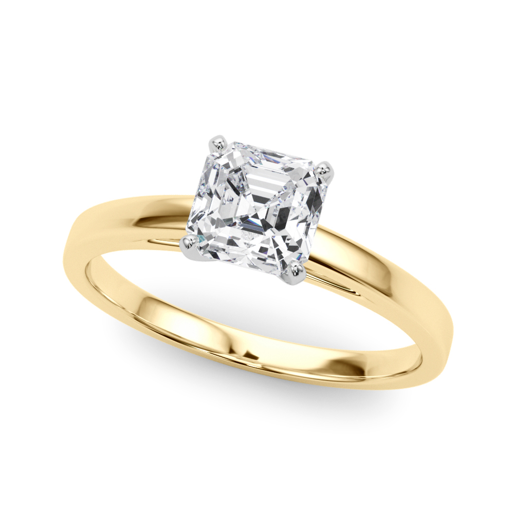 Classic Plain Cathedral Engagement Ring