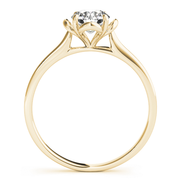 Solitaire Accented Cathedral Engagement Rings