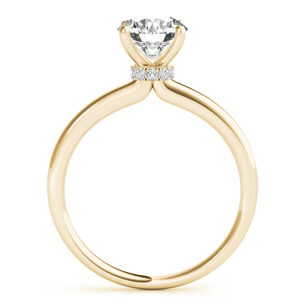 The Celeste Hidden Halo Engagement Ring, side view