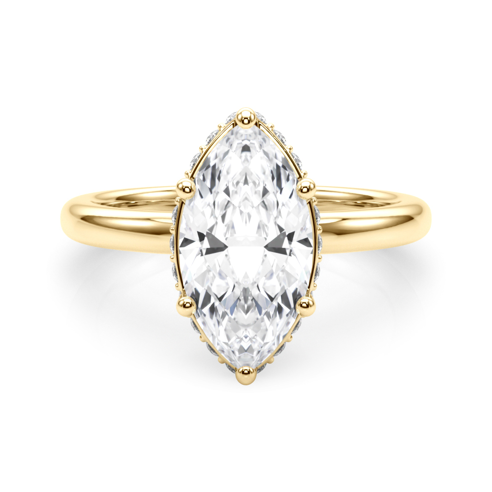 The Eliana Hidden Halo Engagement Ring, set view