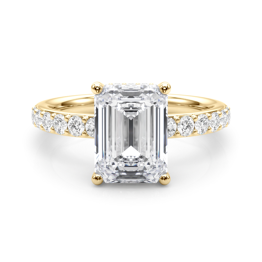 The Phoebe Hidden Halo Engagement Ring, set view