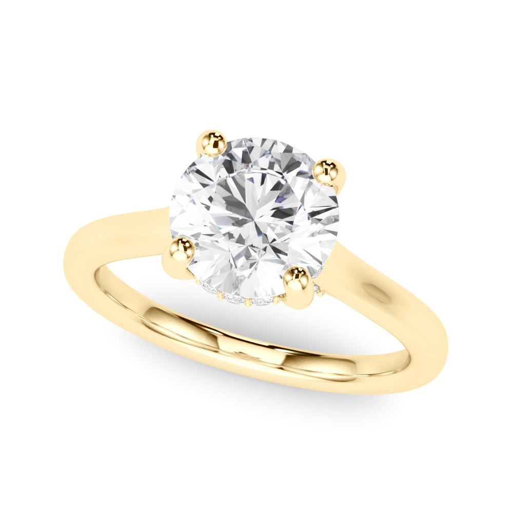 The Ximena Hidden Halo Engagement Ring, front view