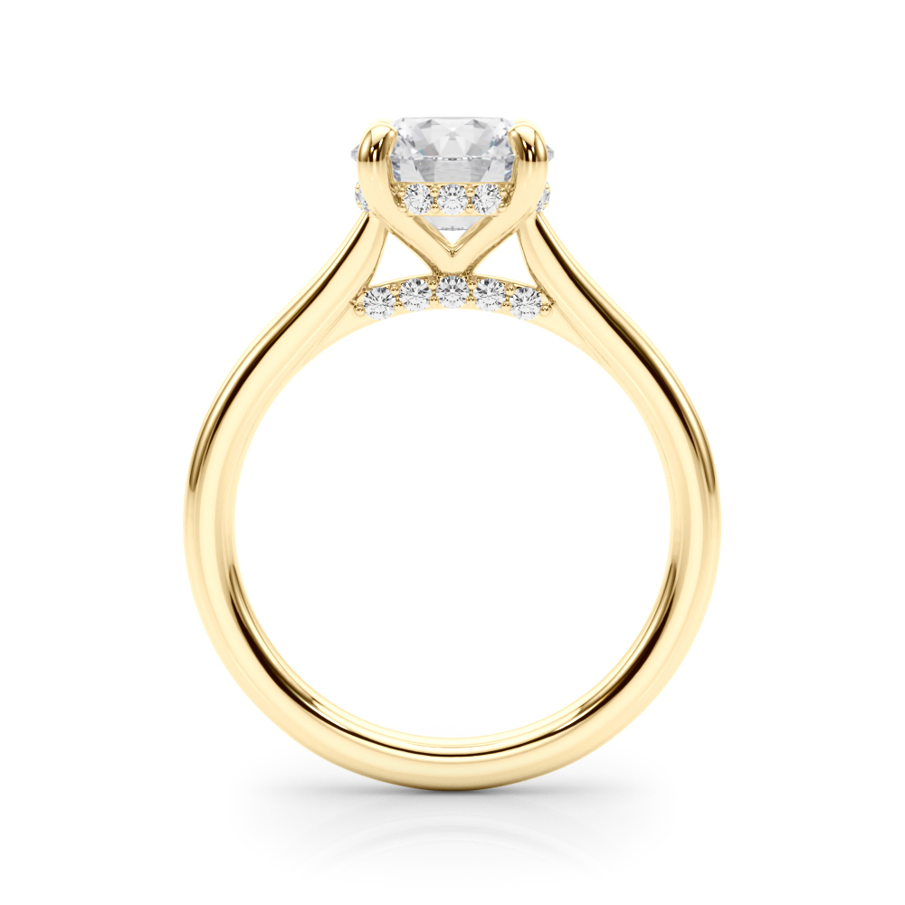 The Ximena Hidden Halo Engagement Ring, side view