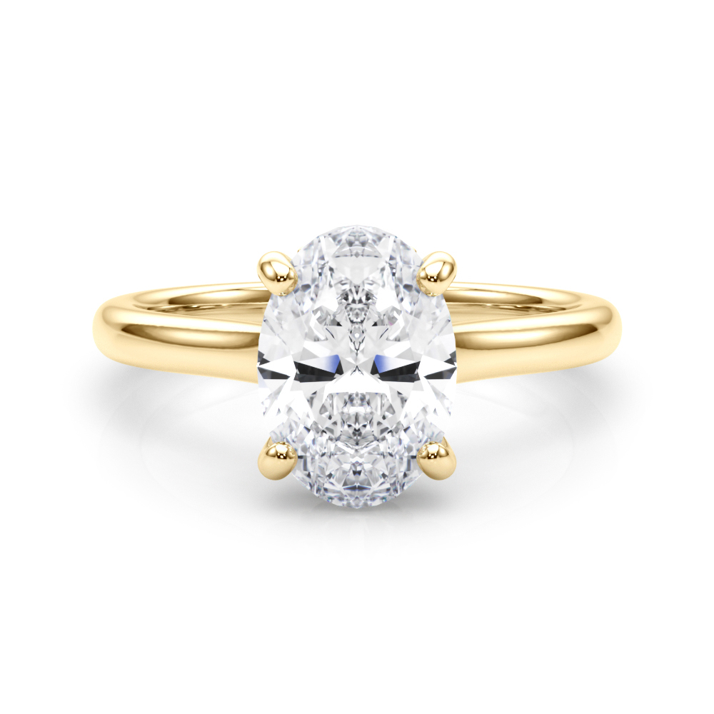 The Vanessa Hidden Halo Engagement Ring, set view