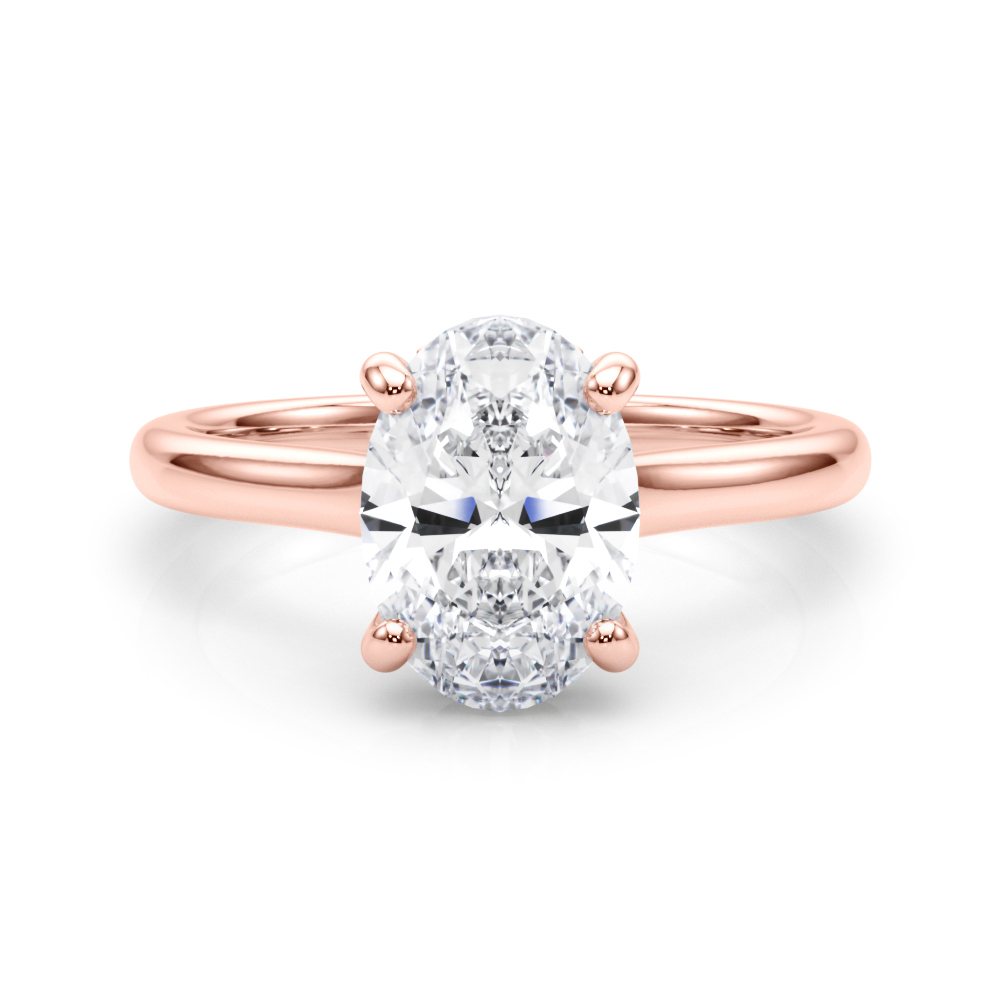 The Vanessa Hidden Halo Engagement Ring, set view