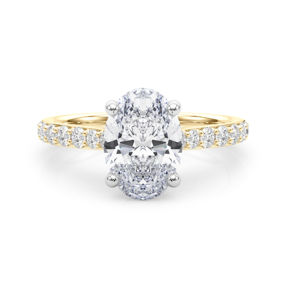 The Faye Hidden Halo Engagement Ring, set view