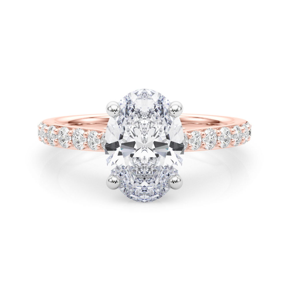 The Faye Hidden Halo Engagement Ring, set view