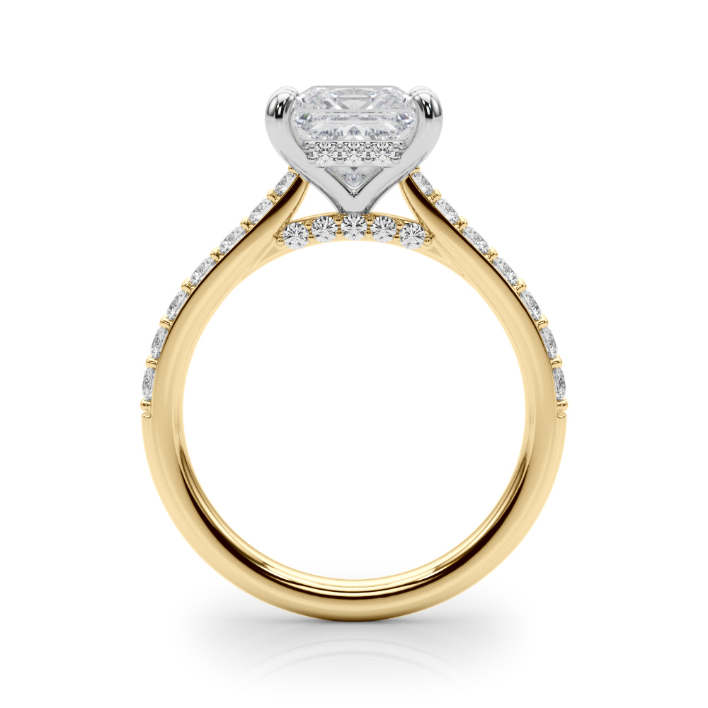 The Aurora Hidden Halo Engagement Ring, side view