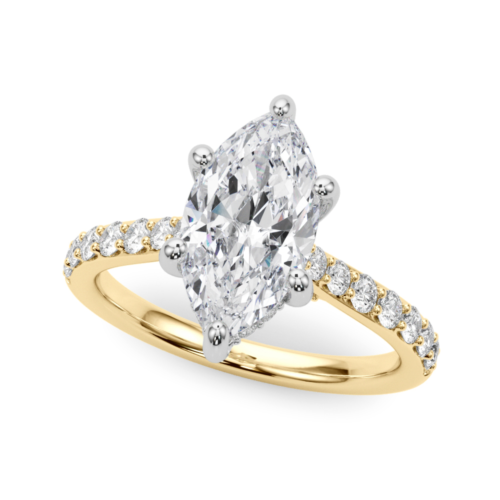 The Wren Hidden Halo Engagement Ring, front view