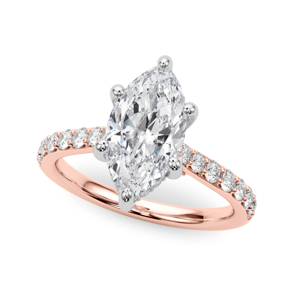 The Wren Hidden Halo Engagement Ring, front view