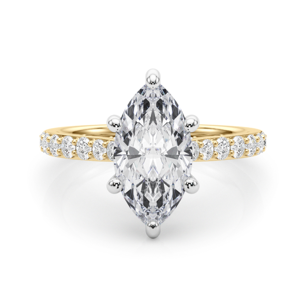 The Wren Hidden Halo Engagement Ring, set view