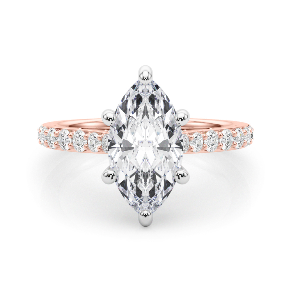 The Wren Hidden Halo Engagement Ring, set view
