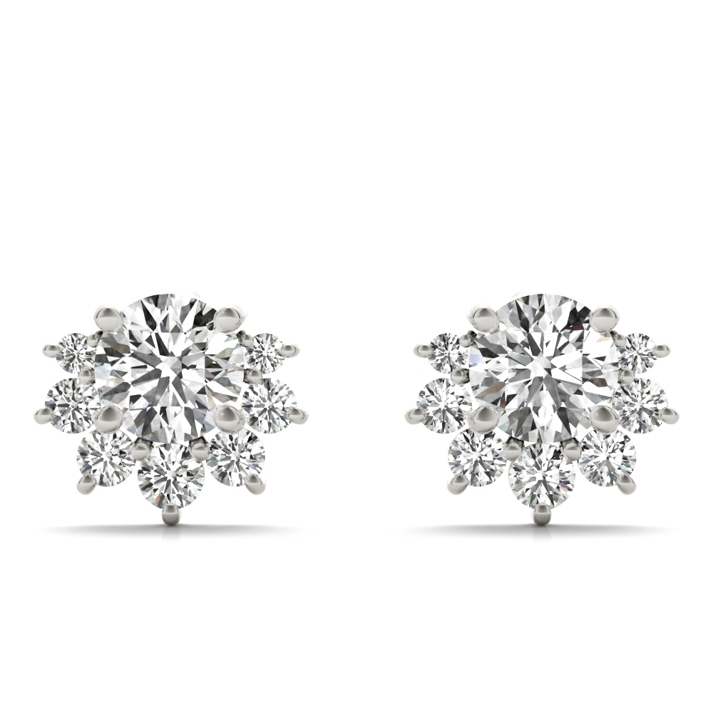 Halo Fashion Earrings